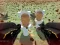 Jwèt Shooting Survival Skibidi Toilet sou entènèt
