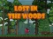 Jwèt Lost in the Woods sou entènèt