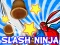 Jwèt Slash Ninja sou entènèt