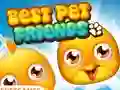 Jwèt Best Pet Friends sou entènèt