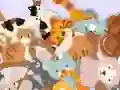 Jwèt Find The Kitty sou entènèt