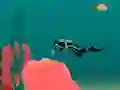 Jwèt Aquacreep sou entènèt