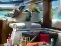 Jwèt Caribbean Crime sou entènèt