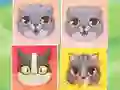 Jwèt Kitten Match sou entènèt