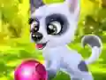 Jwèt Happy Dog sou entènèt