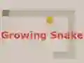 Jwèt Growing Snake sou entènèt