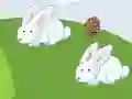 Jwèt Crazy Eggs sou entènèt