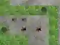 Jwèt Spider Tower Defence sou entènèt