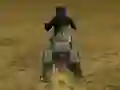 Jwèt Real Moto Stunts Challenge sou entènèt