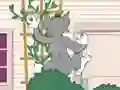 Jwèt Tom und Jerry: Wasserbomben Wahnsinn sou entènèt