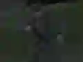Jwèt Soviet Sniper sou entènèt