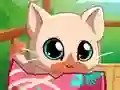 Jwèt My Pocket Pets Kitty Cat sou entènèt