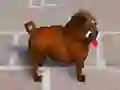 Jwèt Pugs Rush sou entènèt