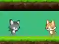 Jwèt Cat vs Dog sou entènèt