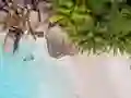 Jwèt Seychelles Beach Jigsaw Puzzle sou entènèt