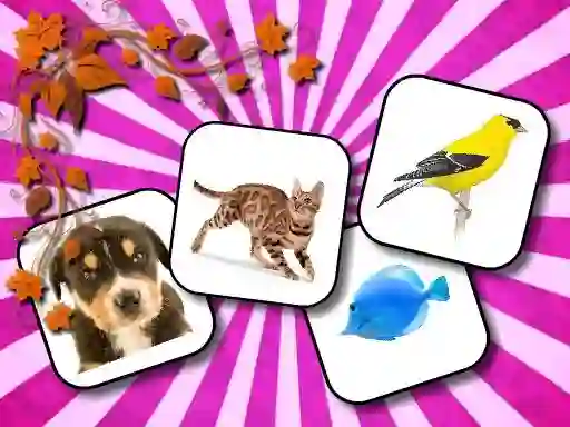 Jwèt Animals Memory sou entènèt