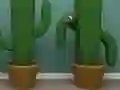 Jwèt Cactus Cube sou entènèt