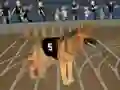 Jwèt Crazy Dog Racing Fever sou entènèt