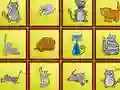 Jwèt Cats Findiff sou entènèt
