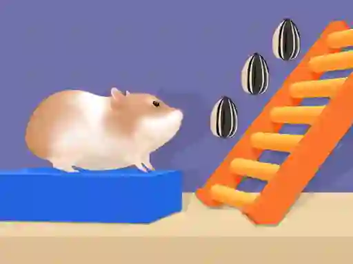 Jwèt Hamster Stack Maze sou entènèt