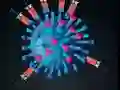Jwèt Kill The Coronavirus sou entènèt