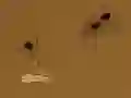 Jwèt Save the crumb sou entènèt