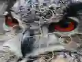 Jwèt Wild owl Jigsaw sou entènèt