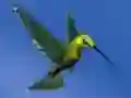 Jwèt Hummingbird House Escape sou entènèt