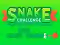 Jwèt Snake Challenge sou entènèt