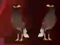 Jwèt Peikin Duck Escape sou entènèt