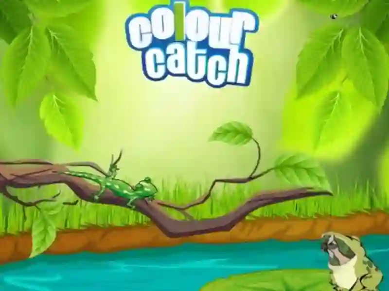 Jwèt Colour Catch sou entènèt