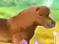 Jwèt My Dear Pony sou entènèt