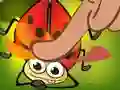 Jwèt Insect Cush sou entènèt