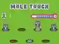 Jwèt Pole Touch sou entènèt
