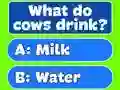 Jwèt Trivia Best Family Quiz sou entènèt