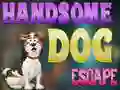 Jwèt Handsome Dog Escape sou entènèt