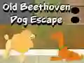 Jwèt Old Beethoven Dog Escape sou entènèt