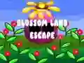 Jwèt Blossom Land Escape sou entènèt