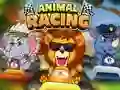 Jwèt Animal Racing sou entènèt