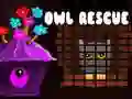 Jwèt Owl Rescue sou entènèt