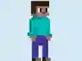 Jwèt Move Craft sou entènèt