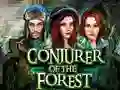 Jwèt Conjurer Of The Forest sou entènèt