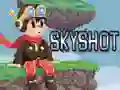 Jwèt Skyshot sou entènèt