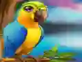 Jwèt Little Parrot Escape sou entènèt