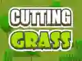 Jwèt Cutting Grass sou entènèt