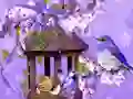 Jwèt Wonderful Humming Bird Land Escape sou entènèt