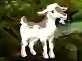 Jwèt Searching Goat Child sou entènèt