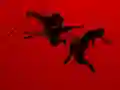 Jwèt Run Ninja Run sou entènèt