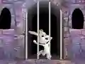 Jwèt Victory Rabbit Escape sou entènèt