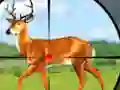 Jwèt Wild Hunt Hunting Games 3D sou entènèt
